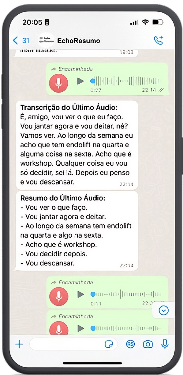 Exemplo de transcrição e resumo no WhatsApp